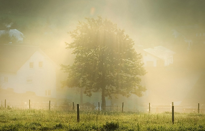 在线网页使用电话轰炸机